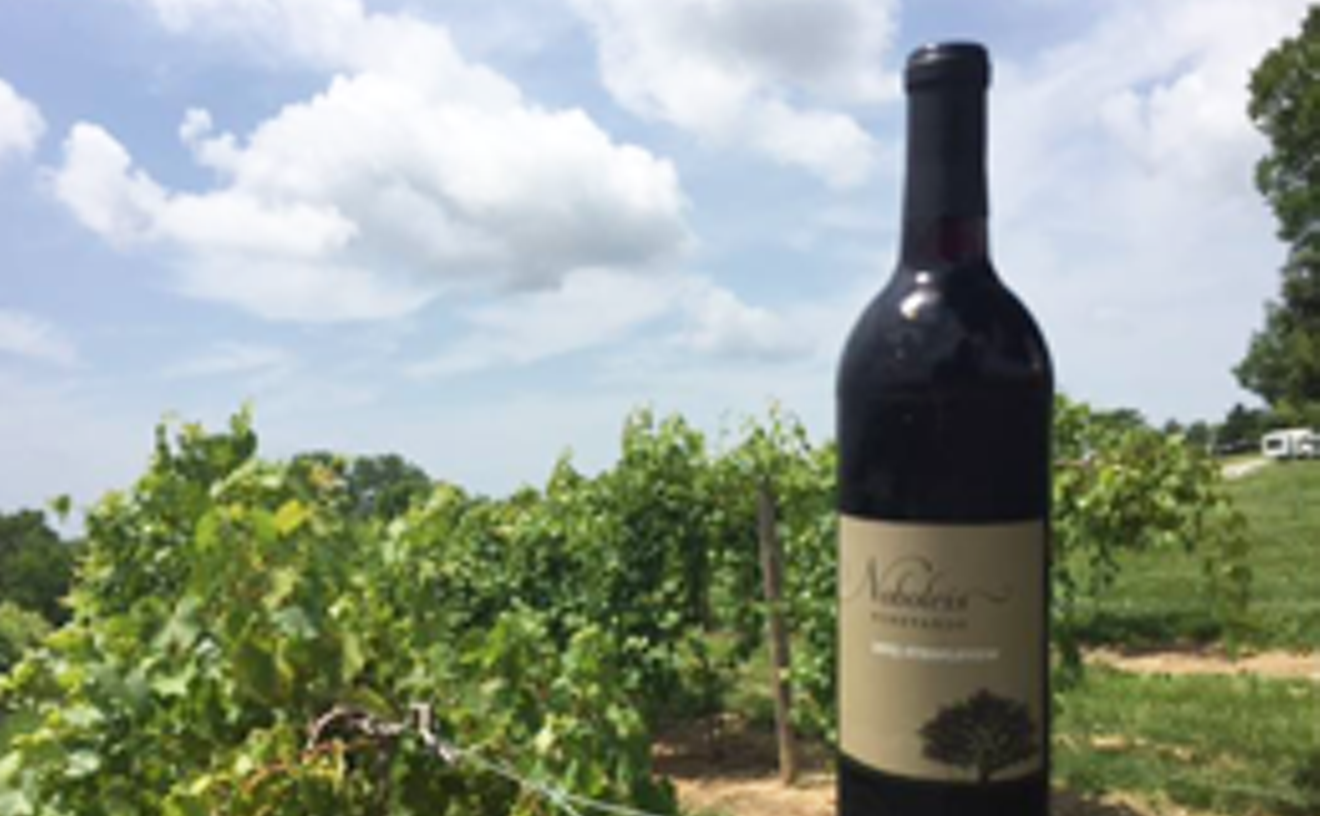 Image: Noboleis Vineyards