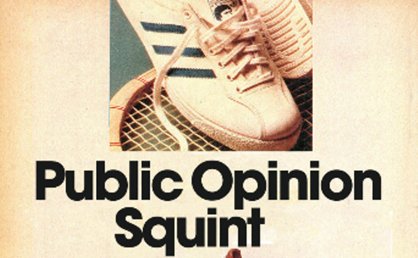 Image: Public Opinion